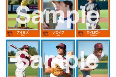 EWS野球カード画像